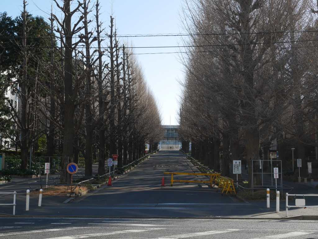 新生活ガイド 住居編 日吉近くの一人暮らしで住む部屋を探す 慶應義塾大学の新入生向け 日吉ブログ ひよブロ横浜